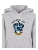 F4NT4STIC F4NT4STIC Kapuzenpullover in heather grey