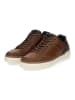 Bullboxer Sneaker in Cognac