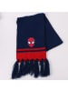 Spiderman Spiderman Kinder 3 Teilig Mütze & Schal & Handschuhe Set in Blau