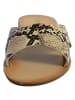Divine Factory Sandale Mule JL3958 Beige