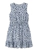 name it Kleid in Ancient Water1