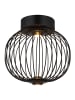 Globo lighting Deckenleuchte "GALWAY" in black