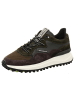 Floris van Bommel Sneaker in grün
