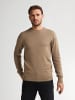 Petrol Industries Feinstrickpullover Steamboat in Orange