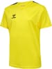 Hummel Kinder Sportshirt "Hmlauthentic Pl Jersey S/S Kids" in Gelb