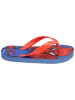 Cerda Zehentrenner Spider-Man in Blau