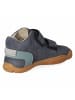 qnuffs Barfußschuhe BUCHE in blau