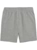 Puma Sporthose "ESS 2 COLOR No.1 Logo Shorts TR B" in Grau