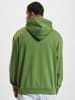 WOOD WOOD WOOD WOOD Hoodie in eden green