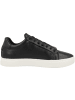 Calvin Klein Sneaker low Cupsole Lace Up Perf in schwarz