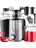 tectake Saftpresse Frufi, 2 Geschwindigkeitsstufen, Edelstahl, 600W