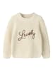 name it Strickpullover in Turtledove1