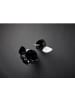 Rosti Backpinsel Classic in Schwarz