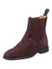 GANT Footwear Stiefelette FAYY in Wine