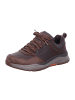 Skechers Herren- Winterschuhe warm BENAGO - HOMBRE in Braun