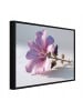 WALLARENA Bild mit Rahmen Blumen in Rosa