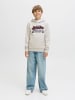 JACK & JONES Junior Kapuzensweatshirt JJELOGO SWEAT HOOD JNR in white melange