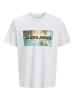 Jack & Jones T-Shirt JJIndiana in weiß