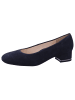 Ara Shoes Pumps  in Blau