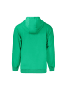 Marina Yachting Grün Baumwolle Herren Sweatshirt