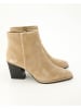 Terry Klassische Stiefeletten in Beige