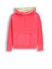 Lemon explore Sweatshirt in rosa