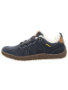 Camel Active Sneaker Low in blau