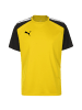 Puma Fußballtrikot TeamPACER in gelb / schwarz