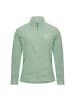 Fleecejacke Taunus 100 Full-Zip in Salbei