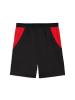 Puma Sportshorts "Öfb Shorts Replica" in Schwarz