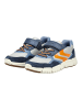 Geox Sneaker in Grau/Navy