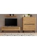 Furn.Design Wohnwand Artisan Eiche schwarz, Wohnkombination 3-teilig skandinavisch