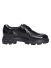 Paul Green Schnürschuh in schwarz