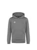 adidas Performance Trainingskapuzenpullover Entrada 22 in grau