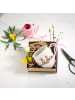 Villeroy & Boch Henkelbecher Spring Fantasy 0,5 l bunt in bunt