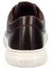 GANT Footwear Sneaker in Dunkelbraun