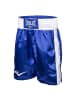 Everlast Sportshorts "Trunks 23 In" in Blau