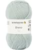 Schachenmayr since 1822 Handstrickgarne Bravo, 50g in Mint