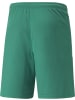 Puma Sportshorts "TeamLIGA Shorts" in Grün
