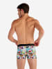 HOM Retro Pants Lov-Art in multico print