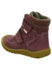 Ricosta Stiefeletten WOOD in Lila