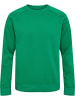 Hummel Sweatshirt Raglanärmel Hmlred Herren in JELLY BEAN