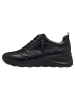 Tamaris COMFORT Sneaker in BLACK NAPPA