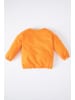 DeFacto Sweatshirt REGULAR FIT in Orange