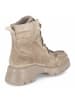 Paul Green Schnürboots in beige