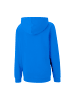 Puma Sweatshirt teamGOAL 23 Casuals Hoody Jr in blau