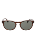 Superdry Herren Sonnenbrillen Panto Braun