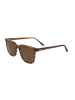 Kodak Sonnenbrille in Brown
