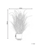 Beliani Kunstpflanze BRISTLEGRASS in Grün/Orange/Schwarz - (W) 80 x (H) 120 x (L) 60 cm