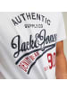 Jack and Jones 3er Pack JJ Ethan Tee SS Crew Neck in Mehrfarbig